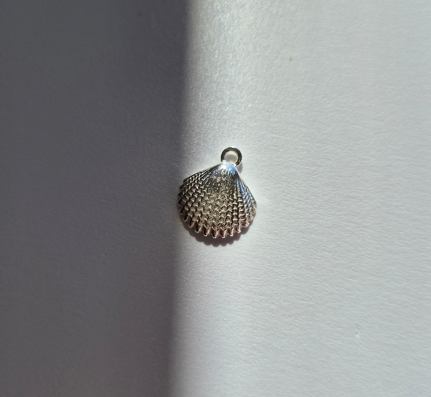 Shell Charm