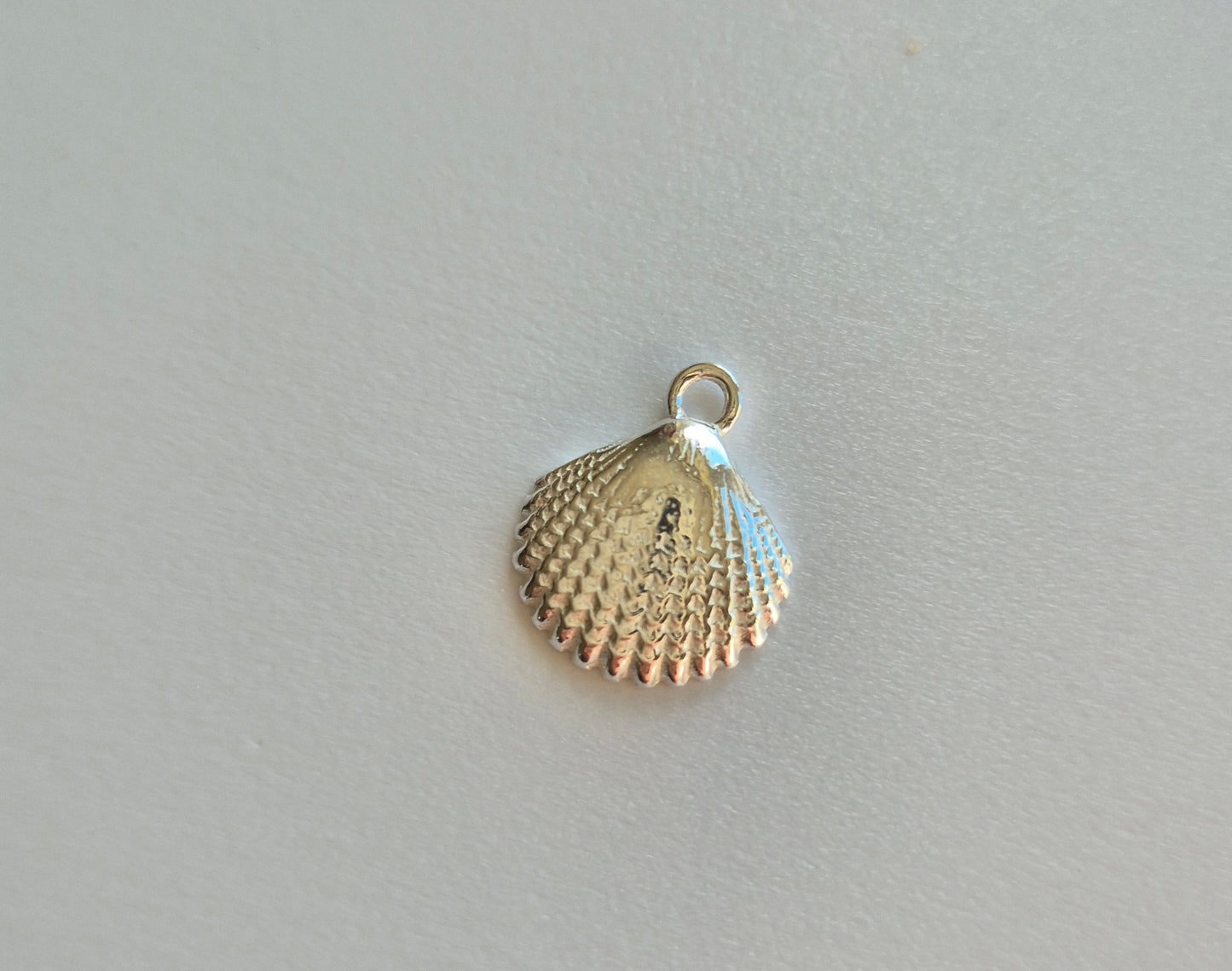 Shell Charm
